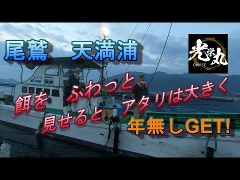 【かかり釣り】尾鷲　天満浦　2022 0828　光栄丸