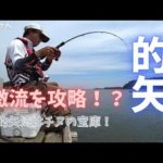 【かかり釣り】潮の流れに身をまかせ！時合いを逃さずチヌを引きずり出したよ　三重県志摩市 的矢フィッシングセンター 2022.8.28 後編