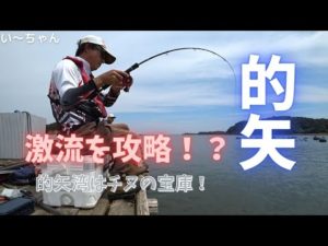 【かかり釣り】潮の流れに身をまかせ！時合いを逃さずチヌを引きずり出したよ　三重県志摩市 的矢フィッシングセンター 2022.8.28 後編