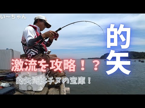 【かかり釣り】潮の流れに身をまかせ！時合いを逃さずチヌを引きずり出したよ　三重県志摩市 的矢フィッシングセンター 2022.8.28 後編