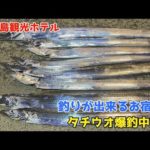 釣りが出来るお宿でタチウオ爆釣中！！【淡路島観光ホテル】