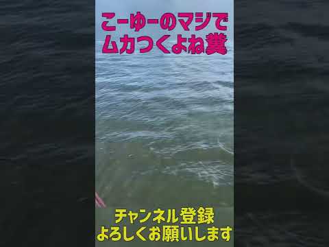 道東サケ釣り釧路西港！糞