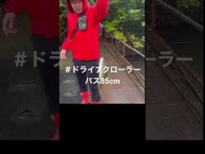 【バス釣り】奥さんセンス抜群！#バス釣り #バスフィッシング #ブラックバス #釣りガール #shorts