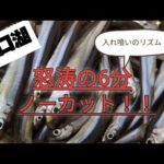 【ワカサギ釣り】河口湖の大爆釣をノーカットでお届けします【河口湖】