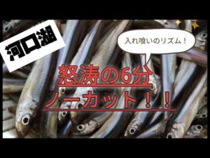 【ワカサギ釣り】河口湖の大爆釣をノーカットでお届けします【河口湖】