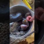 釣りの成績を上げます、みんなもこの動画を見て釣りを始めてみようと思ってくれたらすっごく嬉しすぎて天まで飛びます