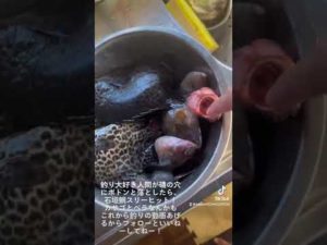 釣りの成績を上げます、みんなもこの動画を見て釣りを始めてみようと思ってくれたらすっごく嬉しすぎて天まで飛びます
