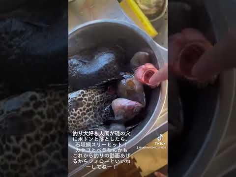 釣りの成績を上げます、みんなもこの動画を見て釣りを始めてみようと思ってくれたらすっごく嬉しすぎて天まで飛びます