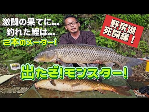 石くんの鯉釣り121野尻湖のメーター！編！
