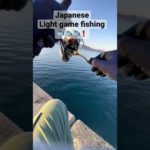 音入れ忘れJapanese light game fishing🐟！#山口県 #釣り #ルアー　　　　　#fishing #lure #アジ