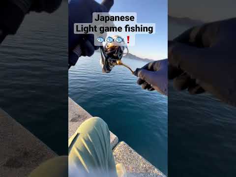 音入れ忘れJapanese light game fishing🐟！#山口県 #釣り #ルアー　　　　　#fishing #lure #アジ
