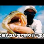 【バス釣り】秋の五三川で釣りしてきた