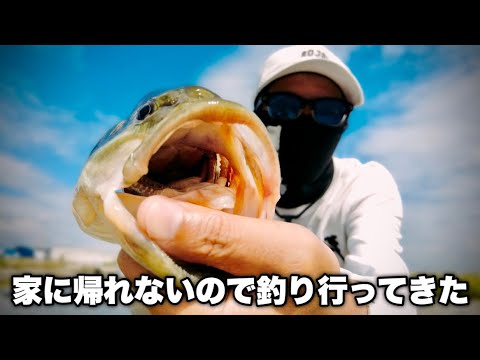 【バス釣り】秋の五三川で釣りしてきた