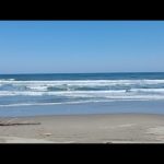 鹿島灘サーフ釣りライブ配信