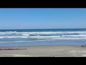 鹿島灘サーフ釣りライブ配信