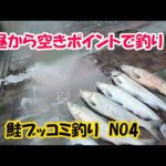 今日も昼からブッコミ釣り２