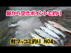 今日も昼からブッコミ釣り２