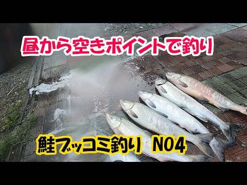今日も昼からブッコミ釣り２