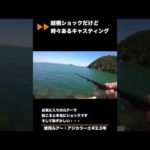 結構ショックだけど時々あるキャスティング[釣りまいショート]#shorts