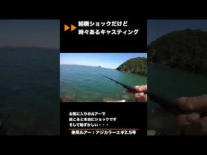 結構ショックだけど時々あるキャスティング[釣りまいショート]#shorts