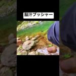 釣り人が震える瞬間#shorts