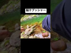 釣り人が震える瞬間#shorts