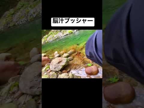 釣り人が震える瞬間#shorts