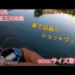 【バス釣り】秋の五三川攻略！巷で話題！？のショットワッキーでGOODサイズ登場！！