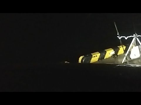 サケ夜釣りチャレンジLIVE