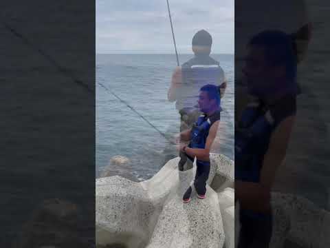 ルアー釣り初挑戦のマッチョのパワーがスゴ過ぎて、魚が次々とノックアウト　#ルアー釣り #釣り初心者 #衝撃映像