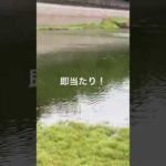 バス釣り　初心者 同士で釣りに行った結果