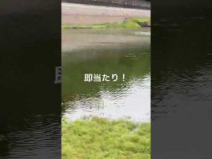 バス釣り　初心者 同士で釣りに行った結果
