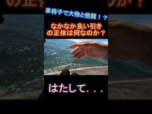 車椅子だが釣りをした結果．．．