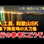 下降気味の太刀魚釣りの参考にどうぞ。大阪湾Ｋ人工島と和歌山ＳＫの釣行。10月1週目のタチウオ釣り。