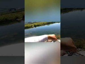 【バス釣り】はじめてトップで釣れた(・∀・)デプス　エアロツイスター