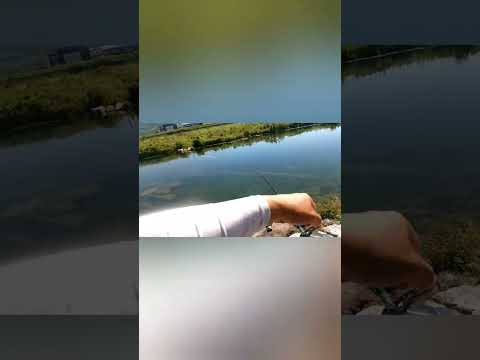 【バス釣り】はじめてトップで釣れた(・∀・)デプス　エアロツイスター