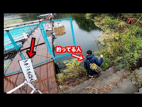 「ブラック立ち入り禁止」看板の横で釣りしたら超初心者でも釣れちゃった。
