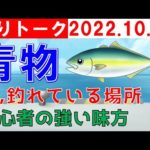 【釣りトーク】テーマ「青物」身近で釣れてる青物は？ブリ、カンパチ他
