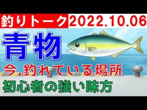 【釣りトーク】テーマ「青物」身近で釣れてる青物は？ブリ、カンパチ他