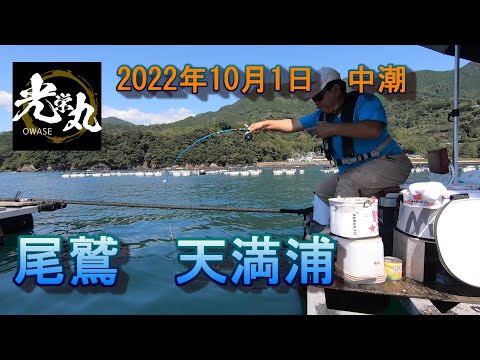 【かかり釣り】尾鷲　天満浦　2022 1001