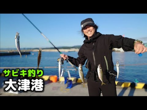 【北茨城】大津港でサビキ釣り調査