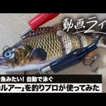 本物の魚みたい！ 自動で泳ぐ「電動ルアー」を釣りプロが使ってみた【動画ライター】