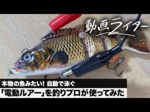 本物の魚みたい！ 自動で泳ぐ「電動ルアー」を釣りプロが使ってみた【動画ライター】