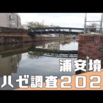 【 千葉県 ハゼ釣り ポイント 】浦安 境川 ハゼ調査 2022年10月【汽水の小物釣り】