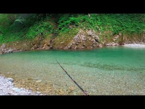 【渓流釣り】貴重な体験をしたので是非見て欲しい・・・！！