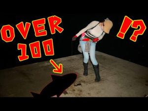 ギラ光りする強烈な釣りエサで釣り⁉️結果…モンスター大暴れ😱