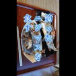 😙ニジマスを釣り食す♪【帝釈峡山荘】＃Shorts