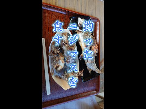 😙ニジマスを釣り食す♪【帝釈峡山荘】＃Shorts