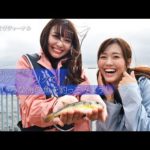 ジグヘッドリグでいろいろな海の魚を釣ってみよう！【釣りあそびジャーナル】