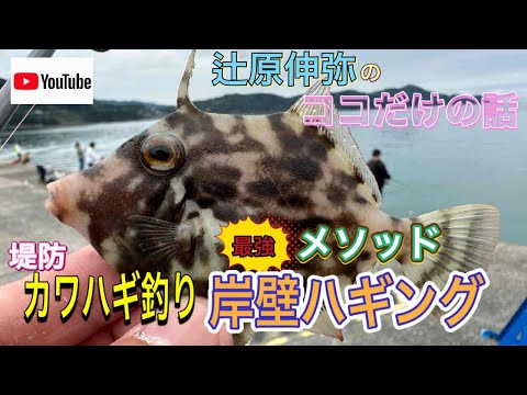 堤防からカワハギ釣り岸壁ハギング#shorts